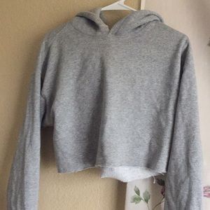 Urban Outfitters Cropped Gray Hoodie